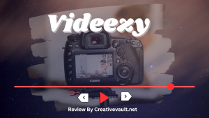 videezy review