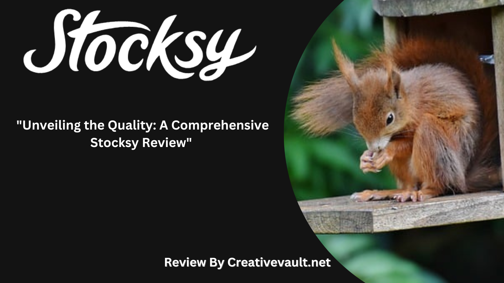 Stocksy Review 2024 Unveiling the Quality Stock Photos Creative vault
